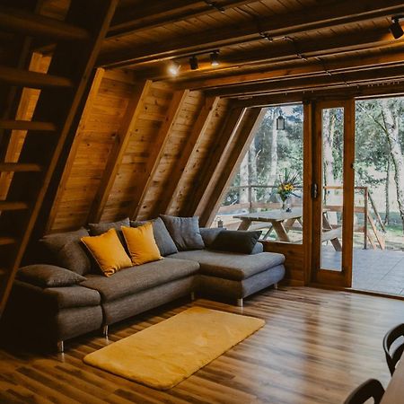 Mesa Summer House Zakrzewo  Екстериор снимка